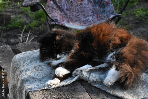 Cat Resting on an Armchair in the Garden: A Serene Portrait of Relaxation
 photo