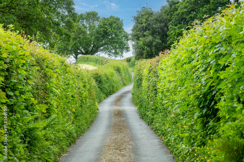Drivers perspective view of narrow road in in Dartmoor National Park, Devon, UK lined with high hedges, hedgebanks and stone walls making driving treacherous 
