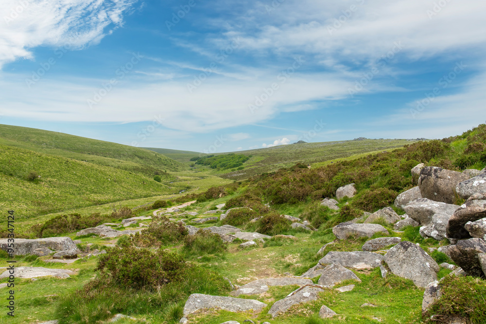 Panoramic hilly landscape in Dartmoor National Park, Devon, UK with between hills the green patch of Wistman's Wood, an ancient temperate rainforests and high-altitude oakwood Panoramic hilly landscape in Dartmoor National Park, Devon, UK with between hills the green patch of Wistman's Wood, an ancient temperate rainforests and high-altitude oakwood