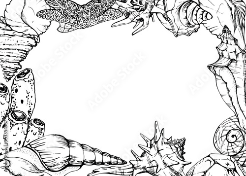 Marine life, sea ocean underwater creatures fish, shells algae seaweed, Ink and pen sketch hand drawn. Border frame illustration, stylized, isolated on white. For zoo shop, aquarium, cosmetics, resort