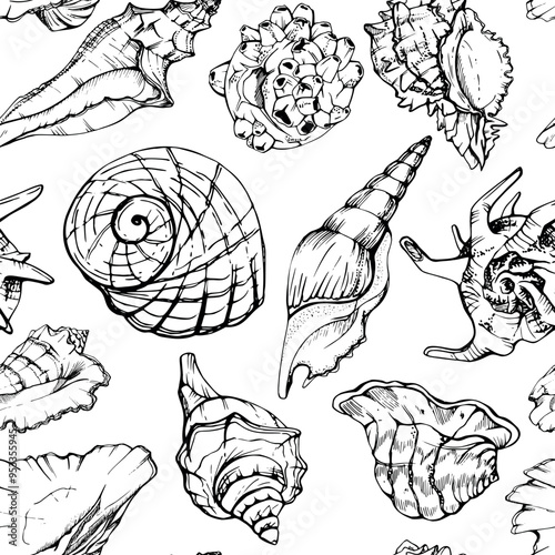 Marine life, sea ocean underwater creatures fish, shells algae seaweed, Ink and pen sketch hand drawn. Seamless pattern illustration, stylized, isolated on white. Zoo shop, aquarium, cosmetics, resort