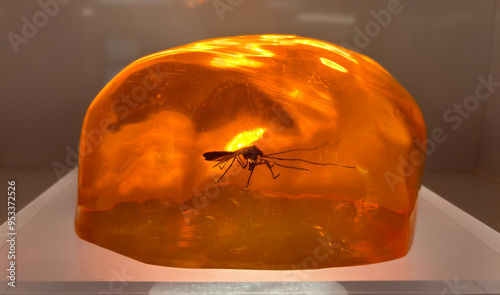 Mosquito fossil object with orange sap at dinosaur lab