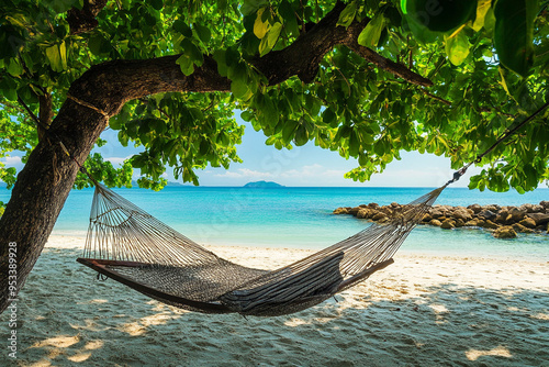 hammock on the beach