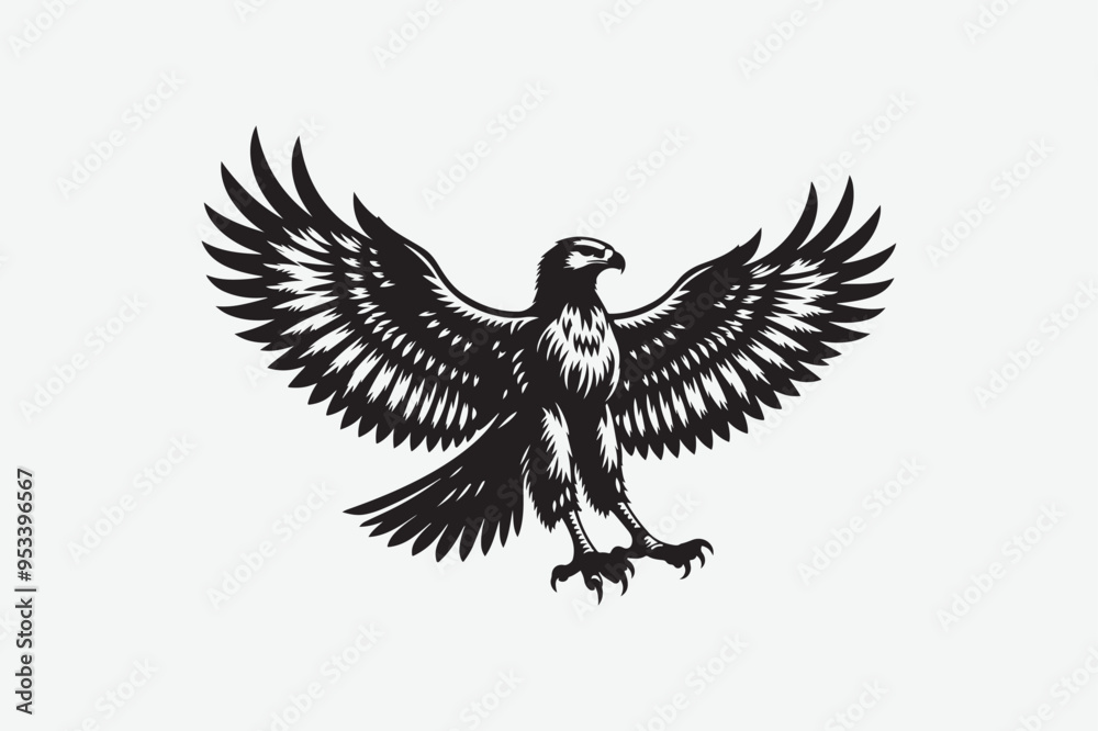 Fototapeta premium Eagle Bird vector art and illustration