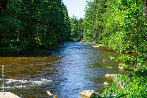 Wallpaper Mural Hiking along Ilz River in the Bavarian Forest 2024 Torontodigital.ca