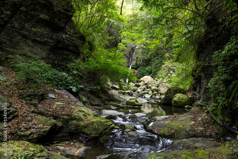 Tropical forest in Xiao Wulai Scenic Area at Taoyuan of Taiwan Tropical forest in Xiao Wulai Scenic Area at Taoyuan of Taiwan