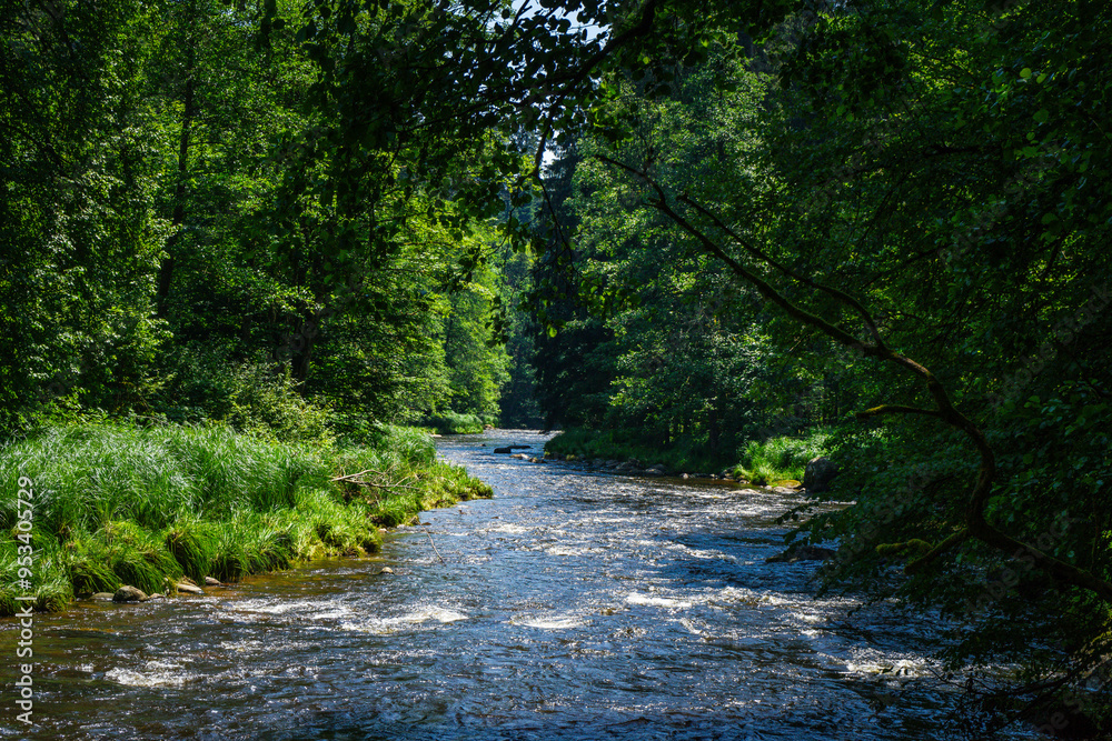 Obraz premium Hiking along Ilz River in the Bavarian Forest 2024