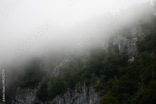 fog in the mountains