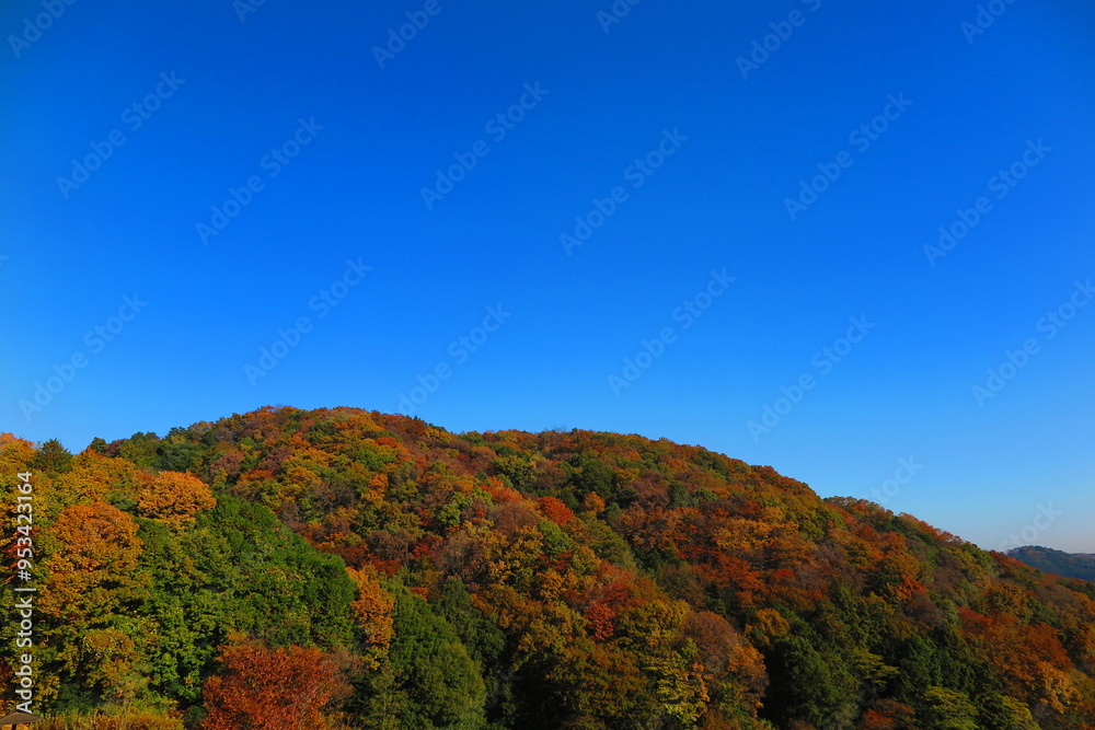 公園から見た秋の空と秋の山の風景37 公園から見た秋の空と秋の山の風景37