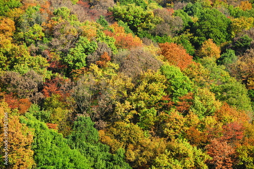 公園から見た秋の空と秋の山の風景38 photo