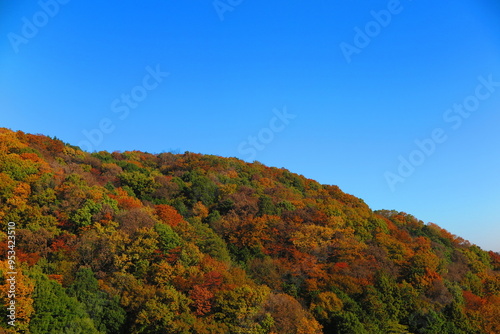 公園から見た秋の空と秋の山の風景34