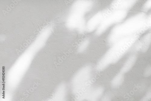 White Wall with Shadow Leaves and Sunlight Reflection on Concrete, Ideal for Product Photography