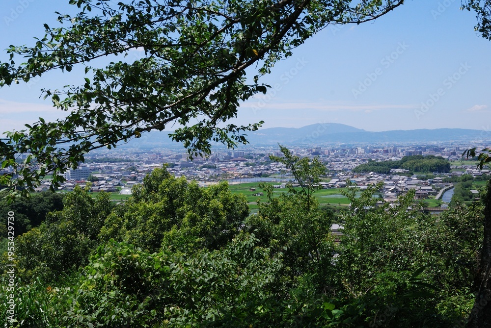 Obraz premium 飛鳥の風景