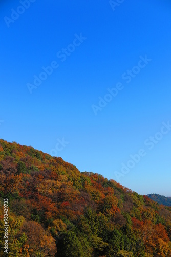 公園から見た秋の空と秋の山の風景9