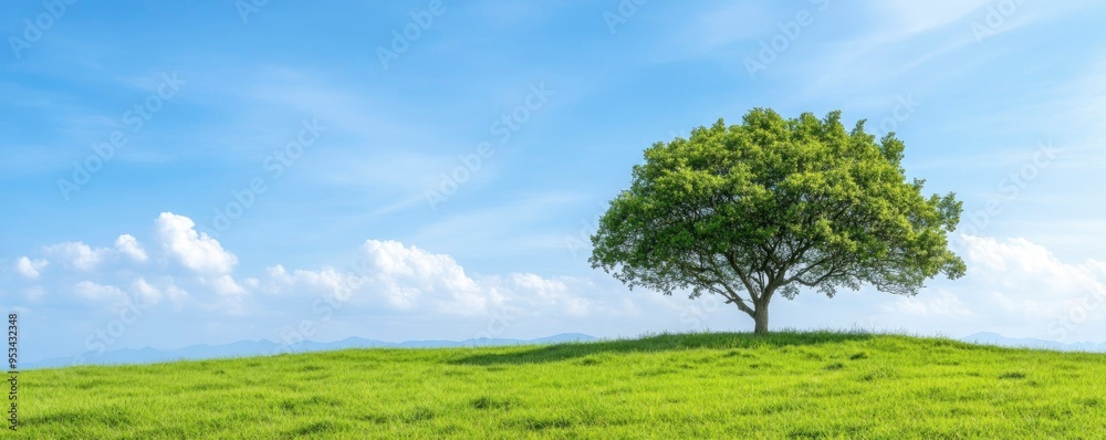 Cool desktop and mobile background wallpapers with a calm scene with a big tree, blue sky, and white clouds Cool desktop and mobile background wallpapers with a calm scene with a big tree, blue sky, and white clouds