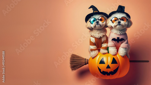 Funny Puppy dog in halloween festival costume on pastel background. Halloween Concept. photo