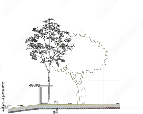 Vector sketch, silhouette illustration, Roadside Planting Section Details image design for greening city parks