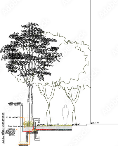 Vector sketch, silhouette illustration, Roadside Planting Section Details image design for greening city parks