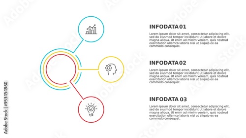 Line Infographics