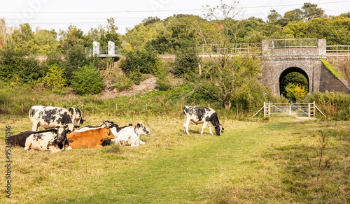 Waterford Heath is a 35.2 hectare Local Nature Reserve in Waterford, Hertfordshire, England.