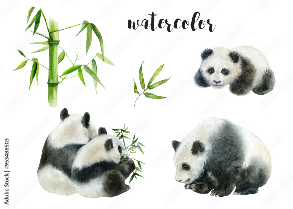 Fototapeta premium A charming watercolor panda illustration ideal for various art and design projects