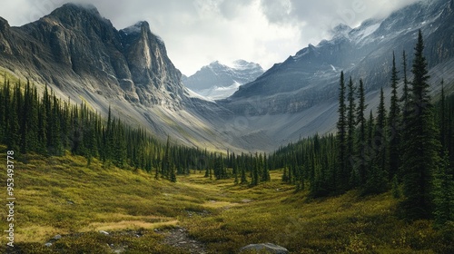 tropical forest on the mountain slopes with sunset views photo