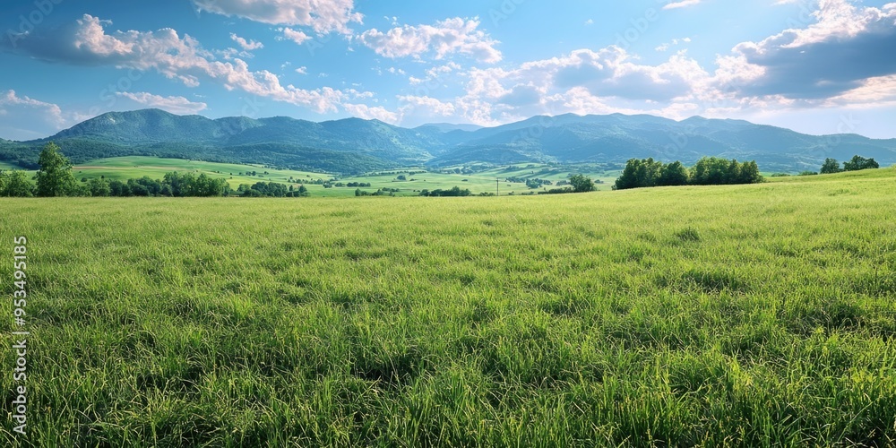 Fototapeta premium Serene Farmland Under Clear Skies