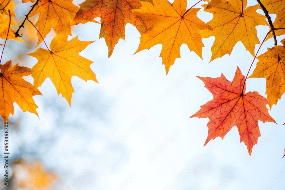 Autumn Maple Leaves Flat Lay White Background created with Generative AI Autumn Maple Leaves Flat Lay White Background created with Generative AI