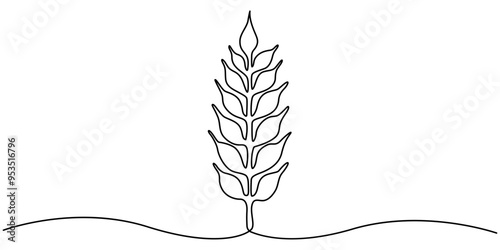 Ears of wheat one line drawing on white isolated background, monochrome illustration of a wheat ear isolated on white. continuous line, One continuous line. Spikelet of wheat. Spikelet of a cereal