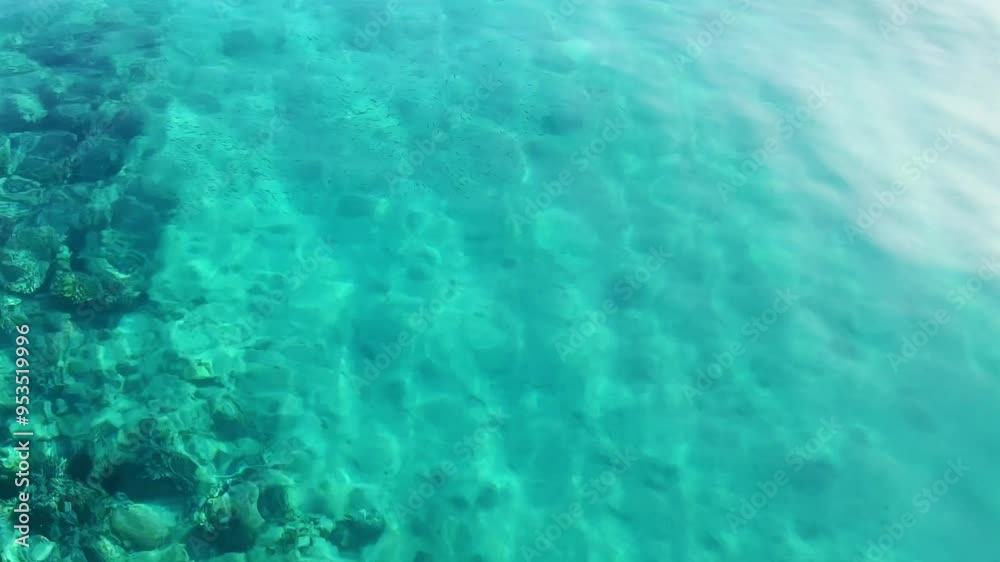 Blue water with sun glare and swimming fish. Top view of fish swimming in the water over a rocky bottom in the Red Sea in Egypt. The seaside resort is all inclusive and travel. Hurghada 2022