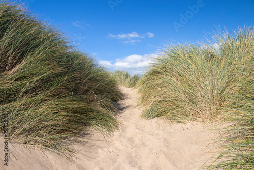 Fototapeta Naklejka Na Ścianę i Meble -  Footpath through the sand dunes on Traeth Llydan Beach, Rhosneigr, Anglesey, Wales, United Kingdom