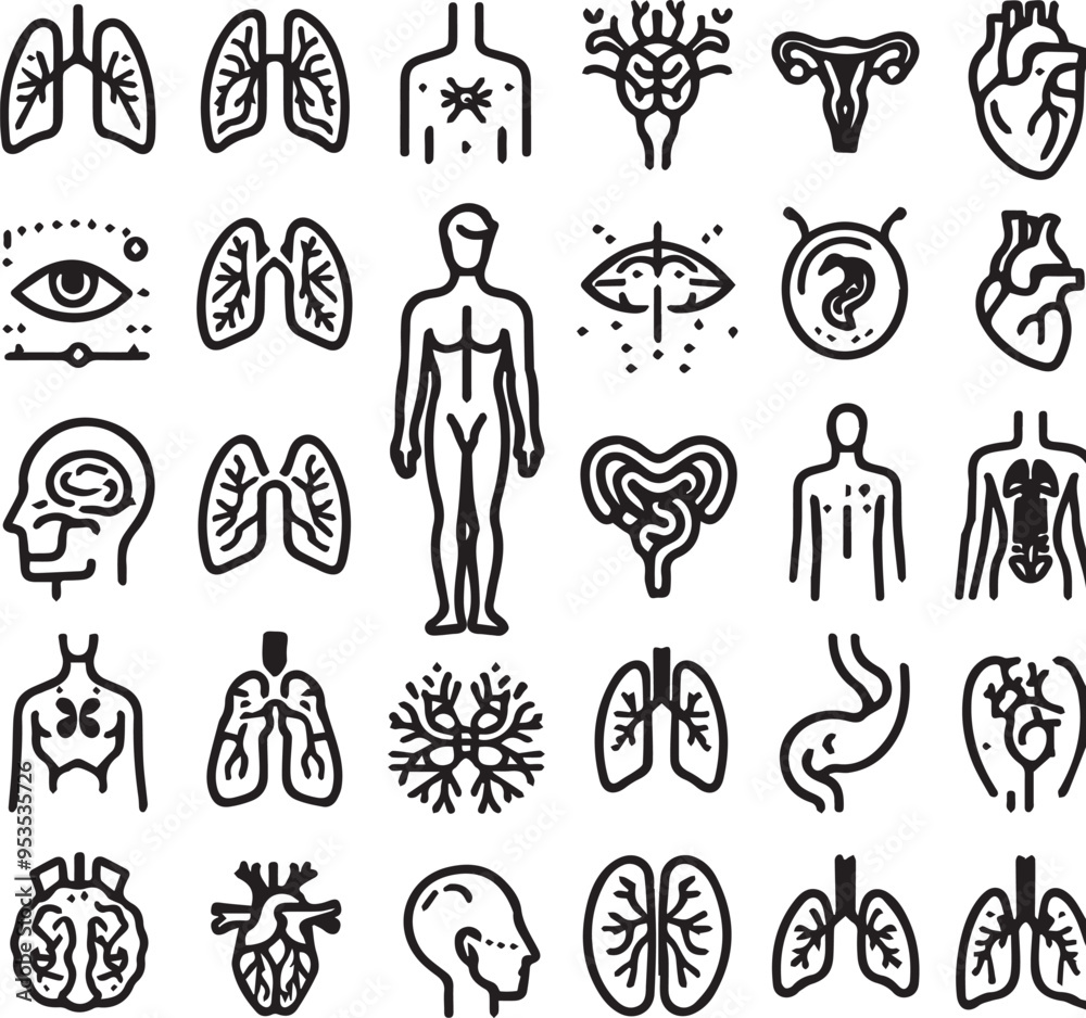 Line icons of anatomy, human body organ Line icons of anatomy, human body organ