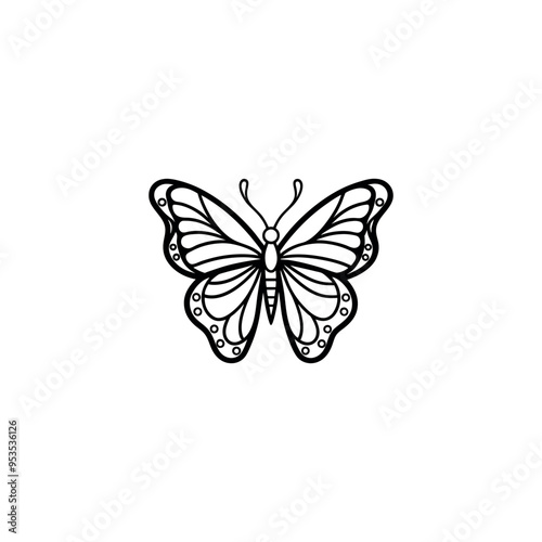 butterfly line art vector