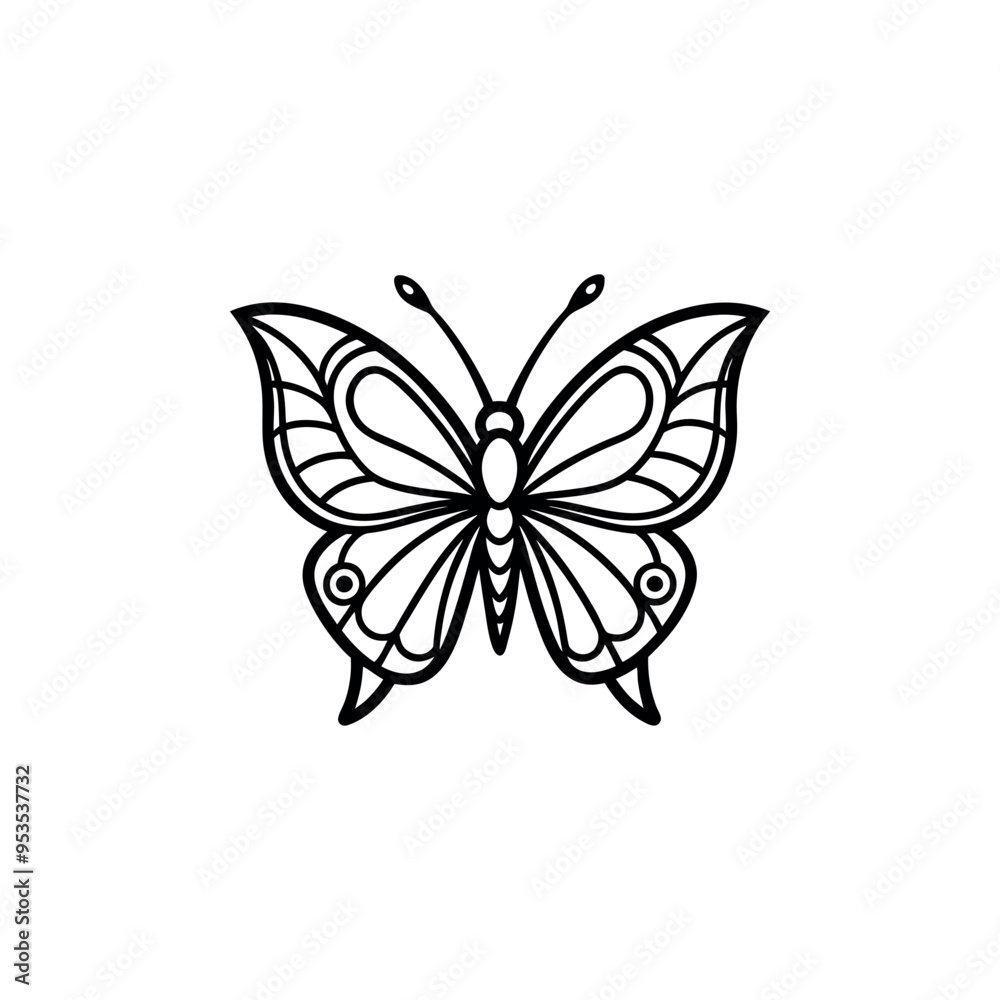 butterfly line art vector