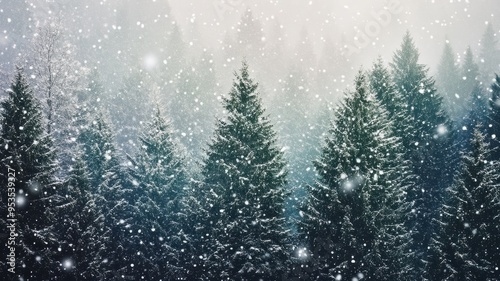 Snowfall in a Dense Pine Forest Captured During Winter Season with Snowflakes Falling Gently