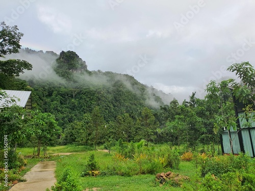 Clouds floating so low that they are almost tangible, a fascinating morning atmosphere in Ranong Province, Thailand. photo