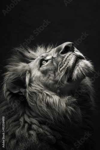 portrait studio photograph of lion black and white