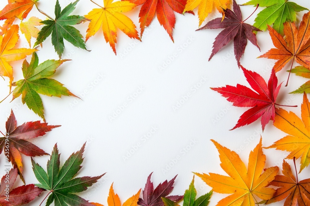 Autumn Maple Leaves Flat Lay White Background created with Generative AI Autumn Maple Leaves Flat Lay White Background created with Generative AI