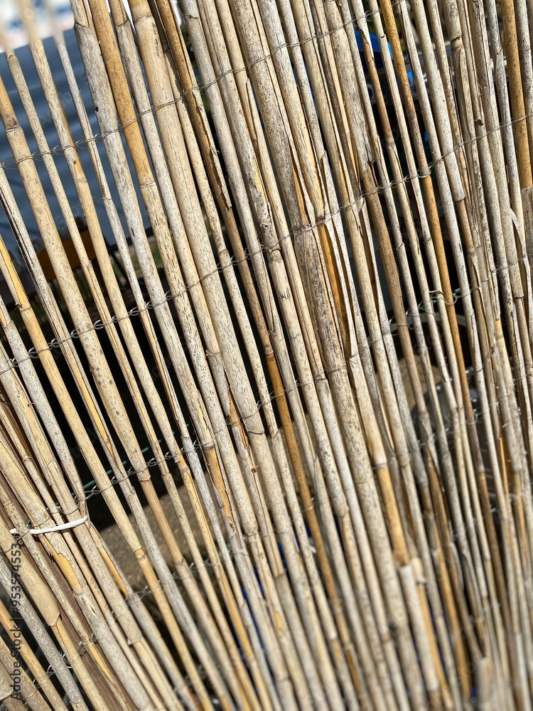 background of striped bamboo texture