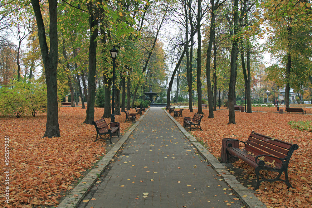 Fall city landscape. Late autumn in a city park. Empty alley with benches against the background of a park with fallen leaves. An old park, covered with fallen foliage. Overcast and sad foggy season Fall city landscape. Late autumn in a city park. Empty alley with benches against the background of a park with fallen leaves. An old park, covered with fallen foliage. Overcast and sad foggy season