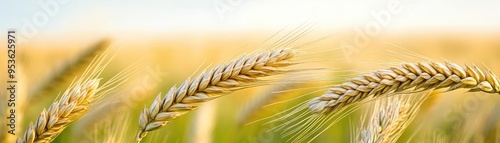 Wheat fields rippling in the wind, soft horizon glow, serene farming atmosphere