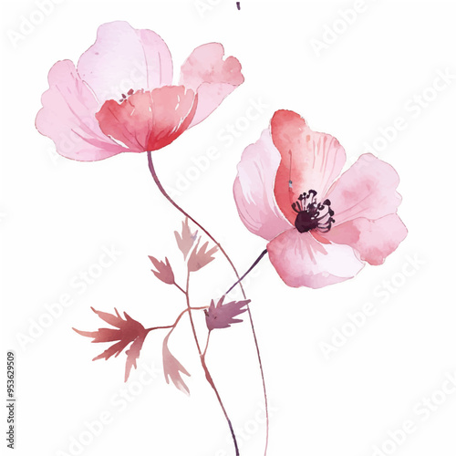 Watercolor Pink flowers on white background