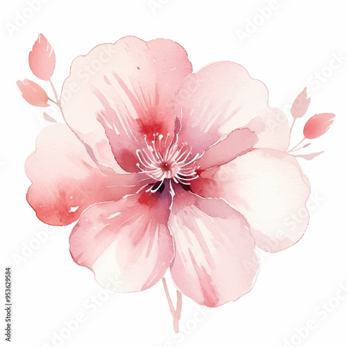 Watercolor Pink Pions Clipart, Pink Flowers Clipart, Printable Graphics	