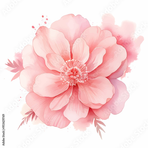 Watercolor Pink flowers on white background