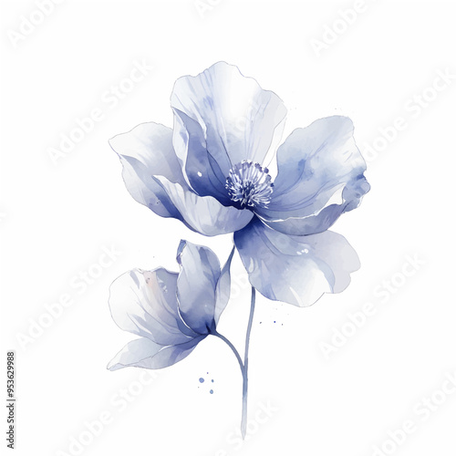 Watercolor Blue flowers on white background