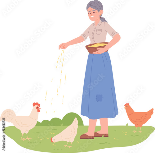 Chicken feeding concept. Woman working on farm