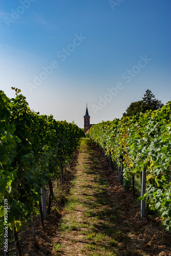 Kirche im Wingert - Nußdorf, Pfalz photo