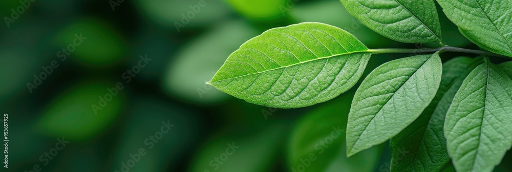 Adorable green plants in a flower pot with a 3D picture of a gardening house concept element Adorable green plants in a flower pot with a 3D picture of a gardening house concept element