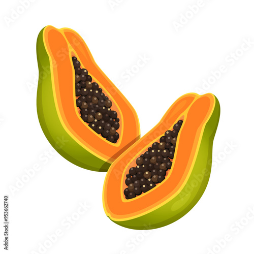 Vector halves of papaya fruit isolated on white background.

