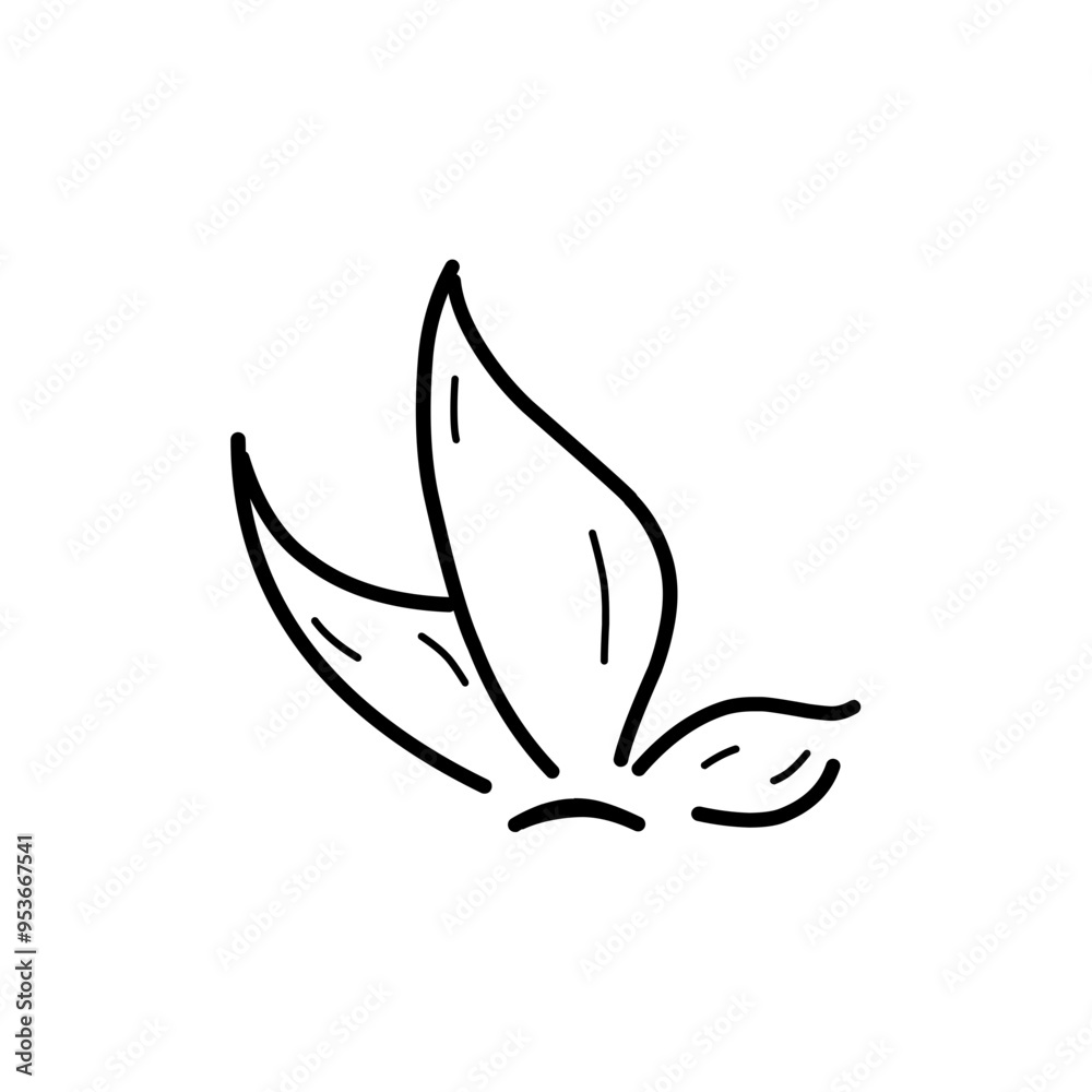 Butterfly vector icon Butterfly vector icon